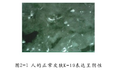 ʱ(й)ǲ!